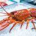 Langouste fraîche entière à la carapace brillante, présentée sur un lit de glace dans une ambiance lumineuse de poissonnerie gastronomique.